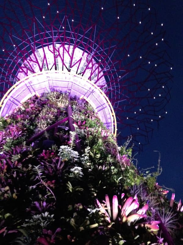 The scenary of Gardens by the bay