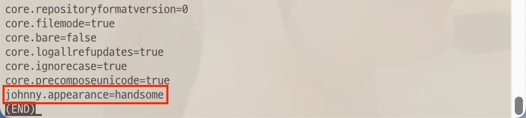 The list of values of git config file The list of values of git config file