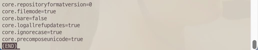 The list of values of git config file The list of values of git config file