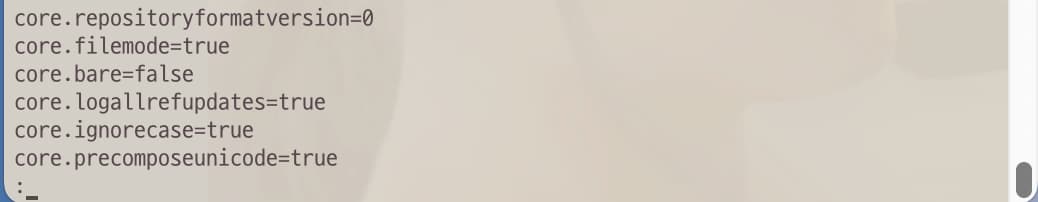 The list of values of git config file The list of values of git config file