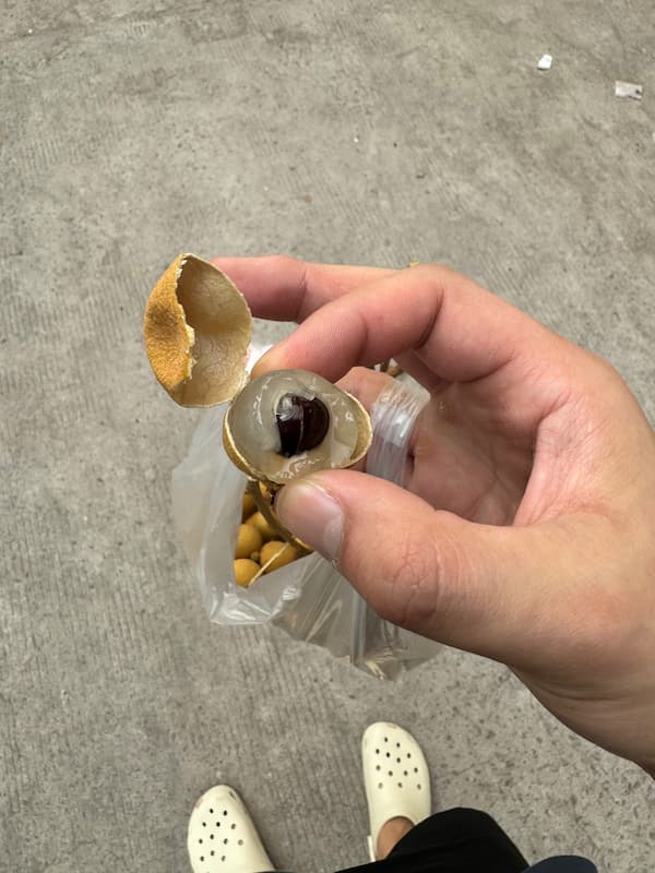 Longkong fruit