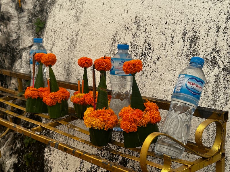 Marigold flowers