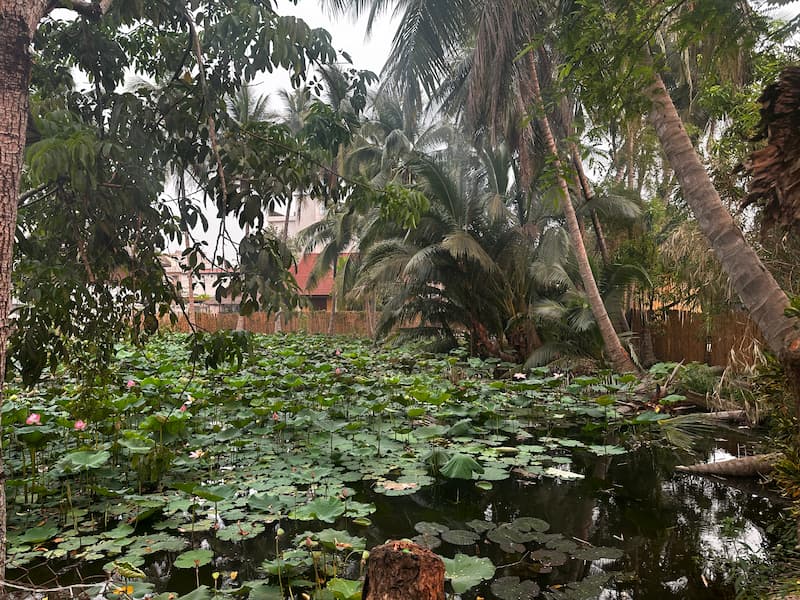 The pond in front of room