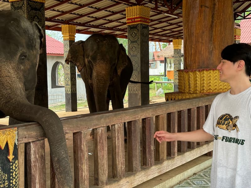 Friend in Luang Prabang elephants camp