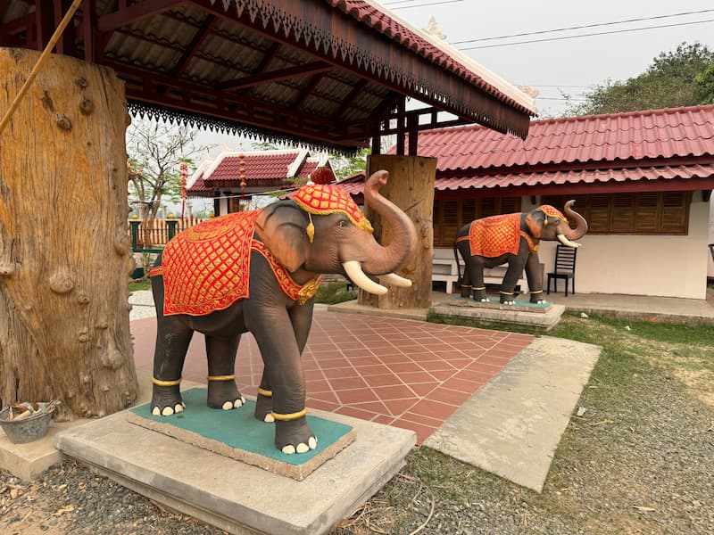Luang Prabang elephants camp