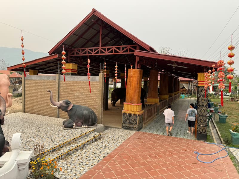 Luang Prabang elephants camp