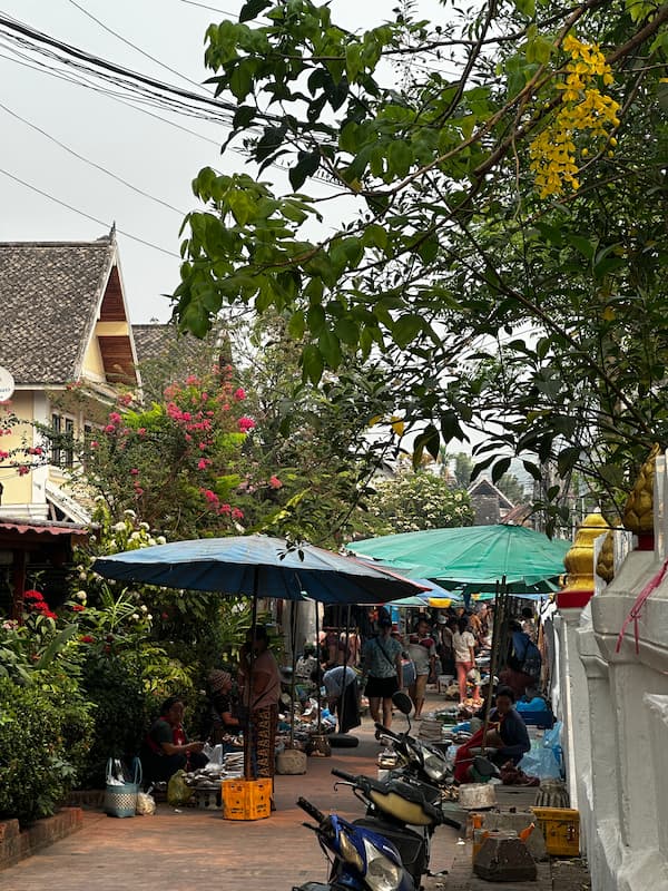 Luang Prabang morning market