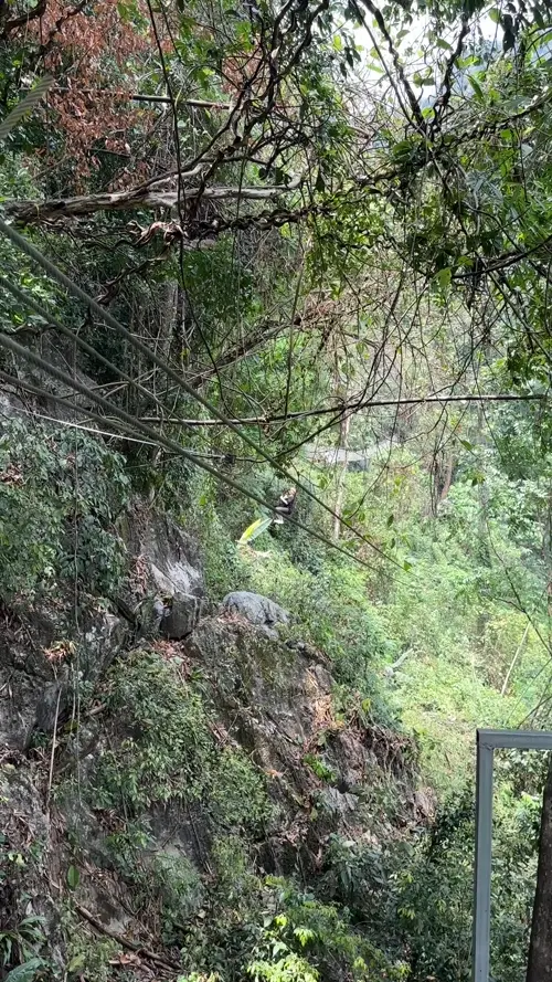 블로거의 6차 집라이닝