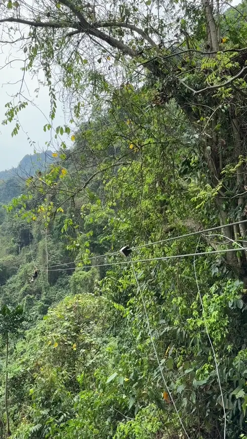 블로거의 3차 집라이닝