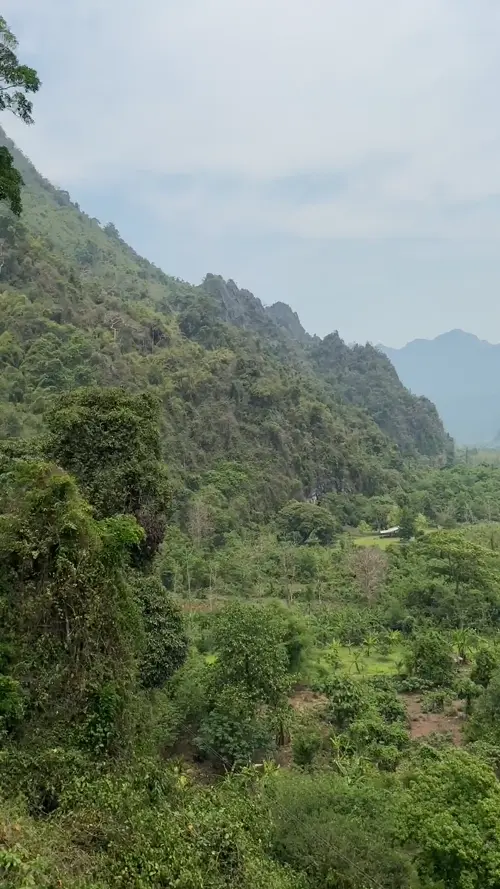 친구의 1차 집라이닝