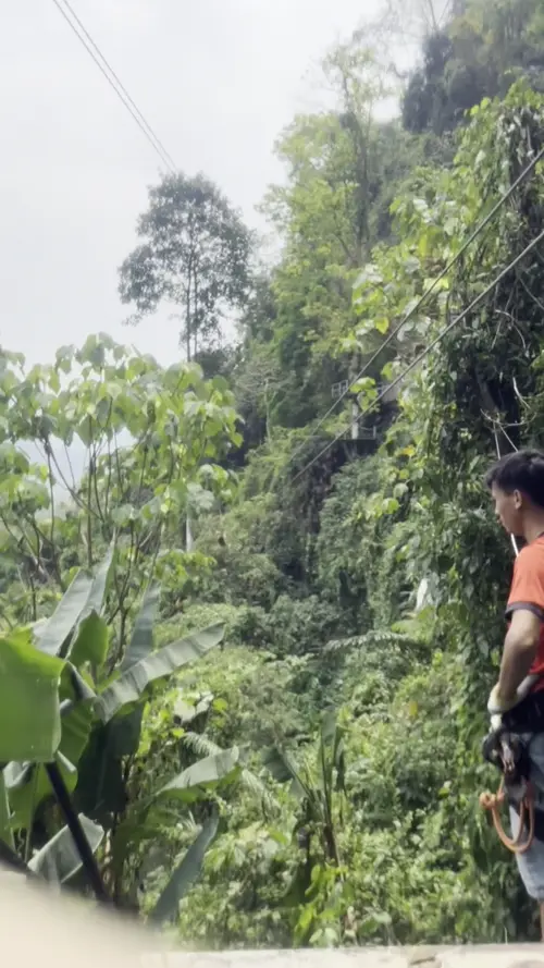 친구의 7차 집라이닝