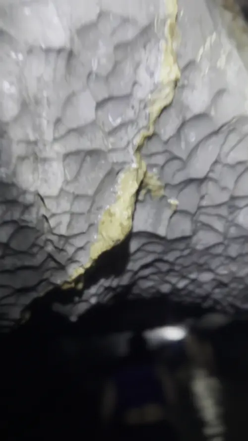 남 동굴에서 튜브를 들고 걷고 있는 친구들