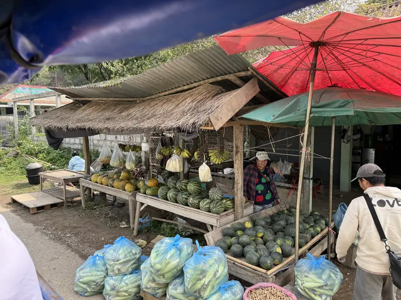 동굴을 향해 가던 중 들린 과일 가게