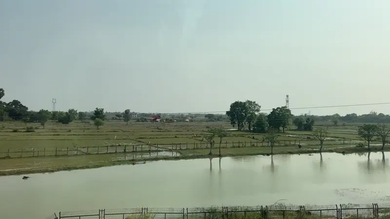 열차안에서 바라보는 라오스의 아름다운 농경지 풍경