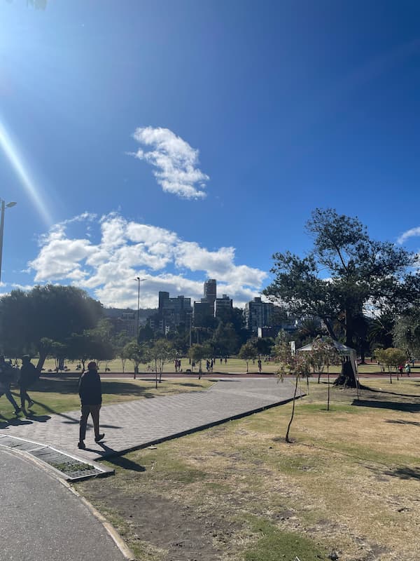 Carolina park