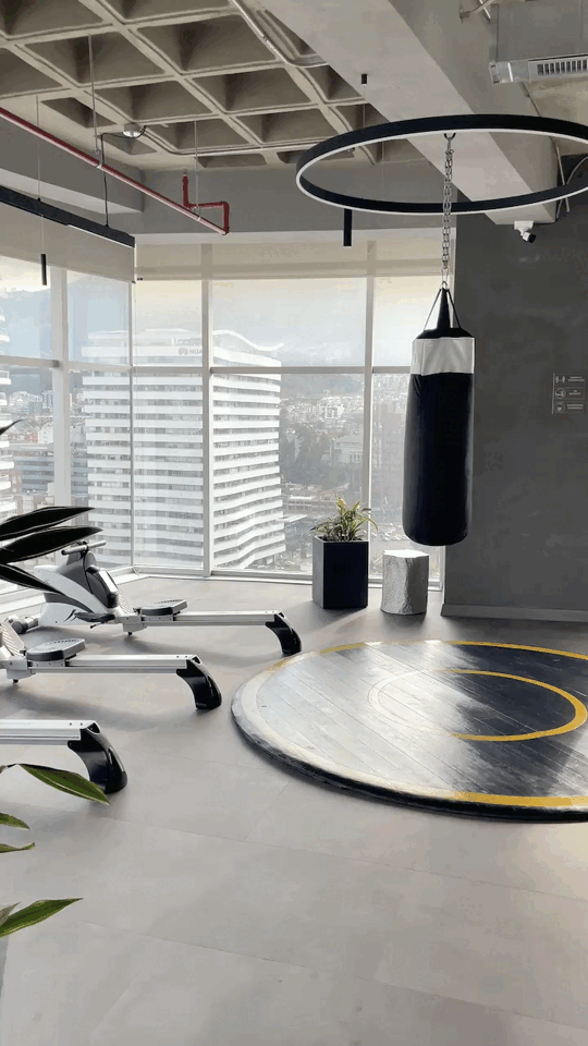Gymnasio
