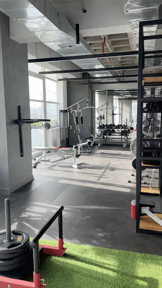 Gymnasio