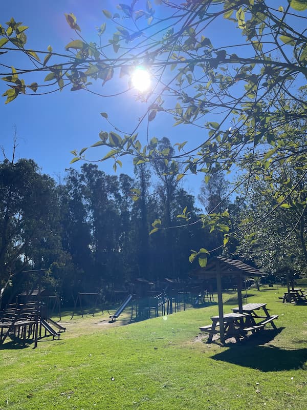 Metropolitan park