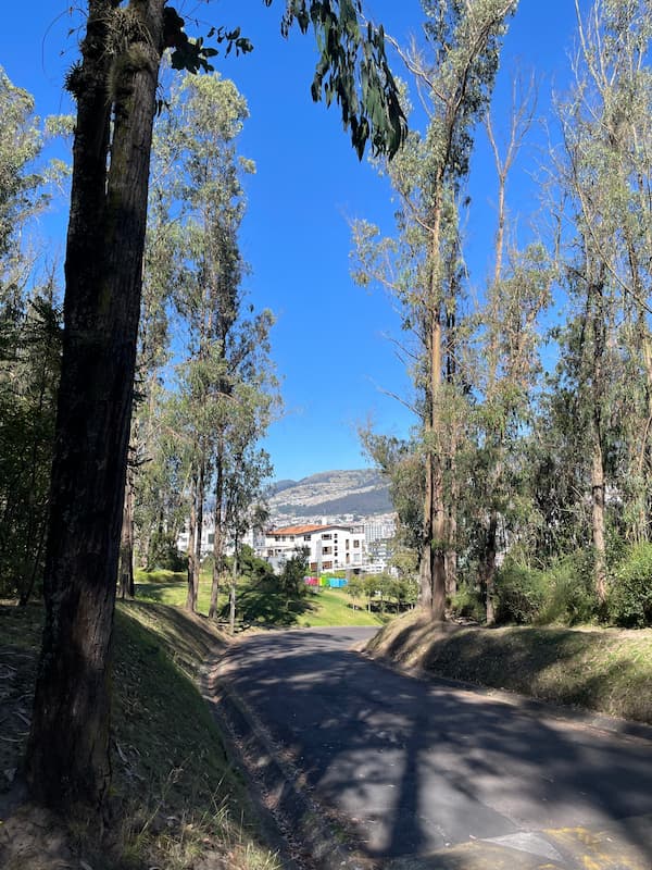 Metropolitan park