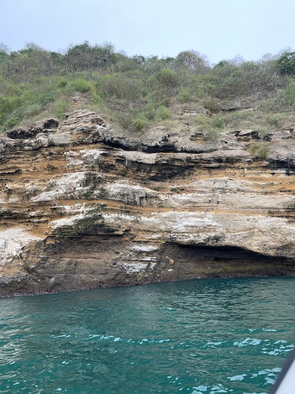 Blue-footed booby habitat