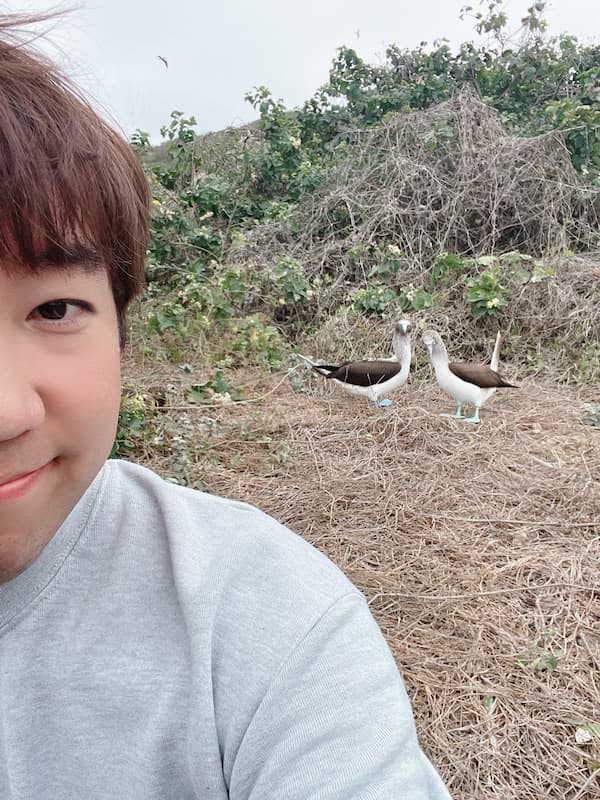 Blue-footed booby with blogger