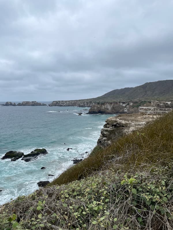 Cliff that blue-footed booby living