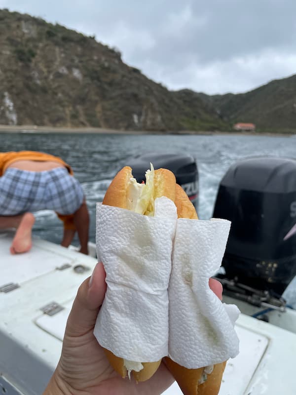 Lunch Sandwiches