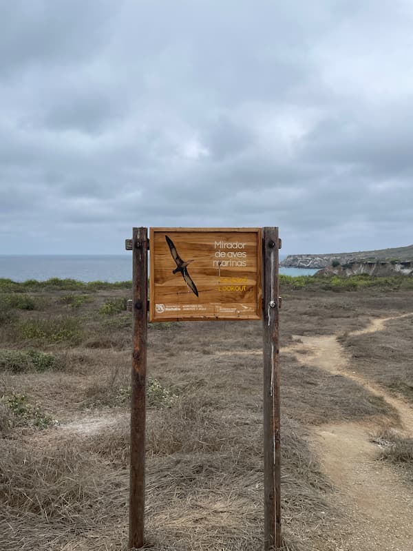 Sea bird observatory