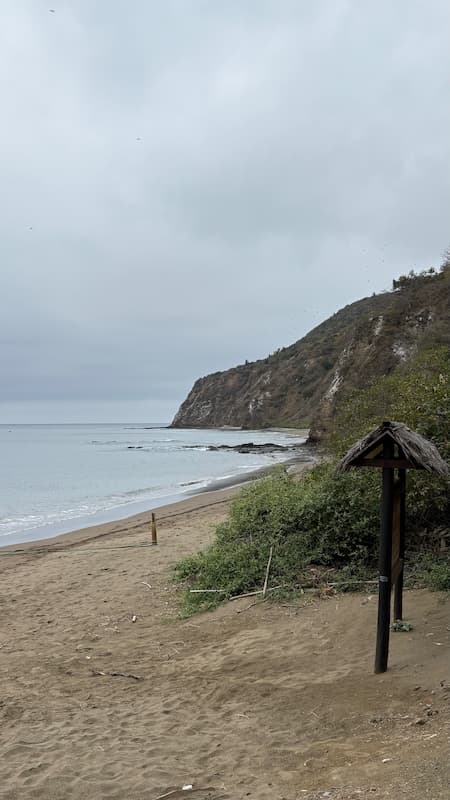 The coast of Plata island