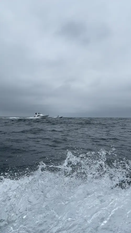 플라타 섬을 향해 항해 중인 여러 여행사의 보트들
