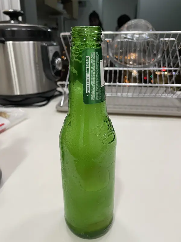 냉장고에서 얼어붙은 맥주