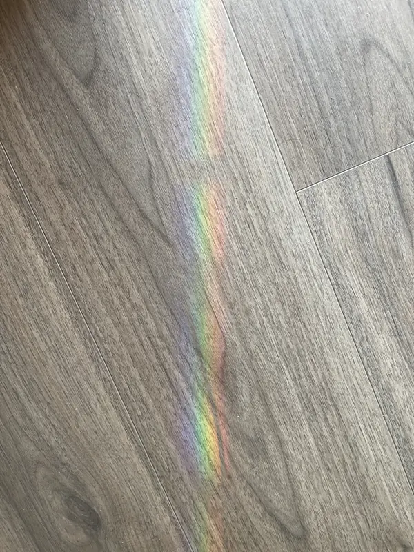 방의 바닥에 비친 무지개