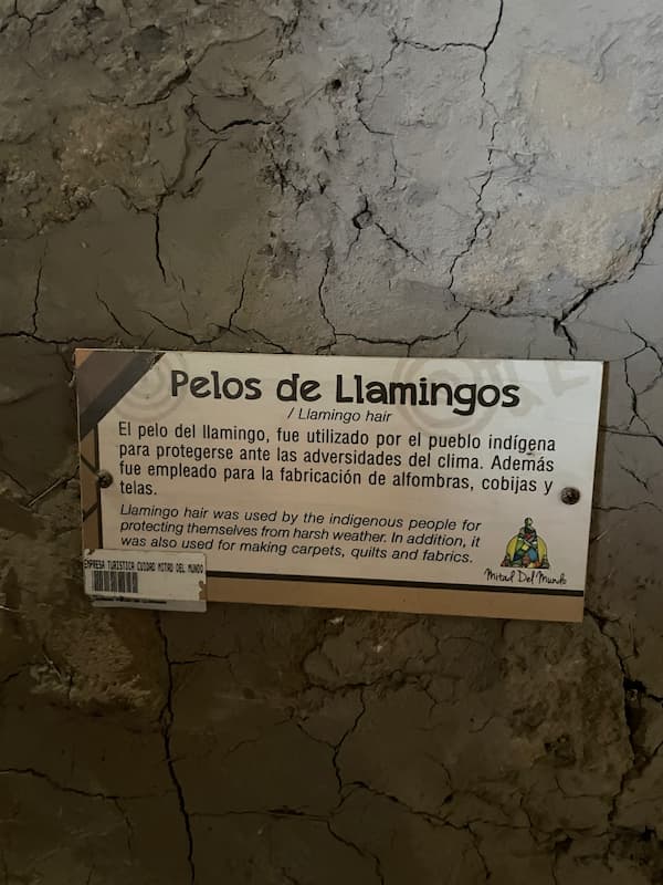 Explanation about llama hairs