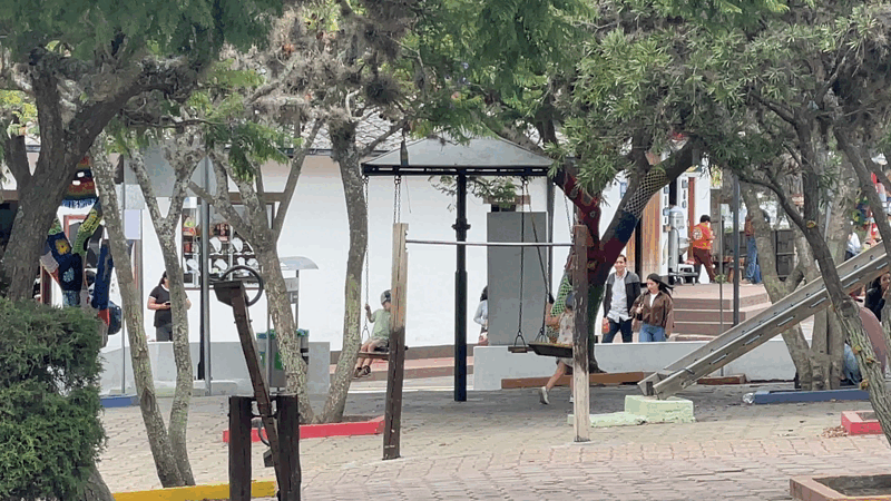 The girl helping her young brother to enjoy the swing