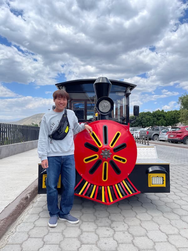 Trackless train