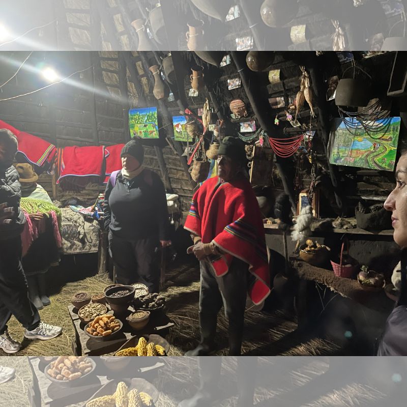 돈 훌리안 아저씨와 집 내부