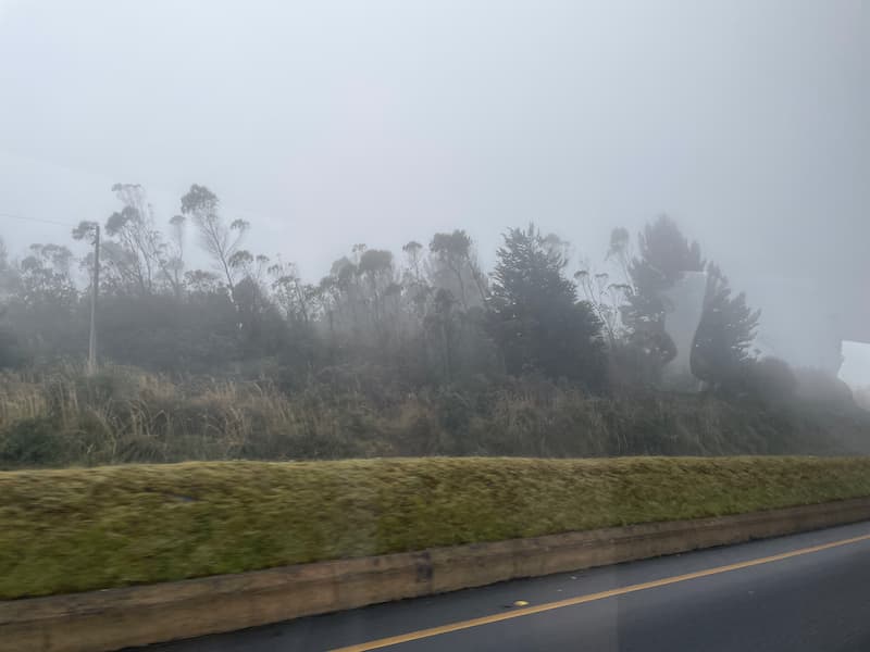 이동 중 안개 낀 날씨