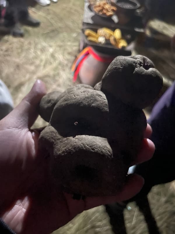 직접 재배하신 여러가지 작물들