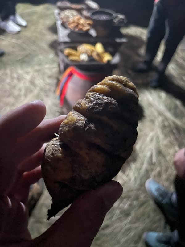 직접 재배하신 여러가지 작물들