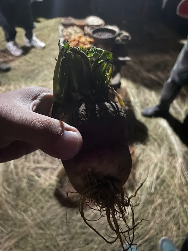 직접 재배하신 여러가지 작물들