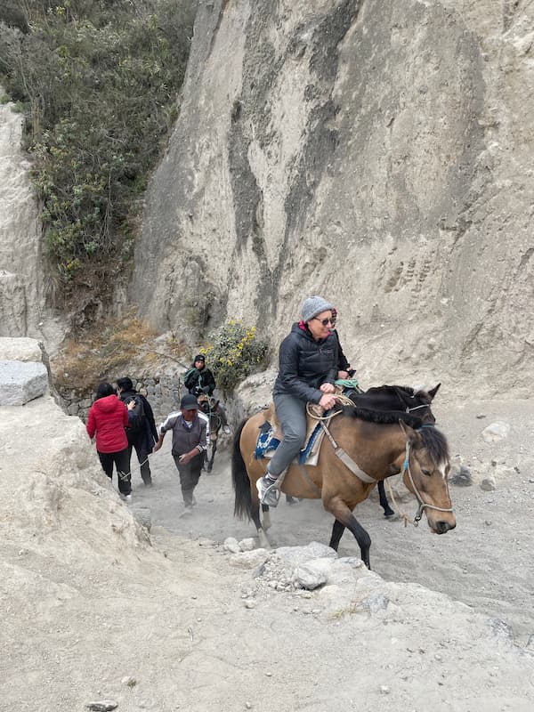 탑승한 손님들을 위해 산을 오르는 말들