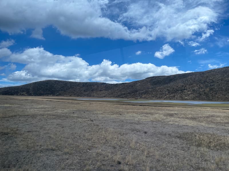 Grassland