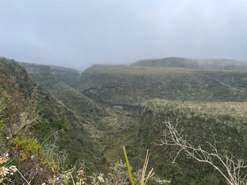 The ravine next to walking trail