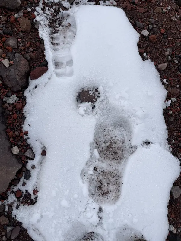 침보라소 화산 만년설에 남긴 블로거의 발자국