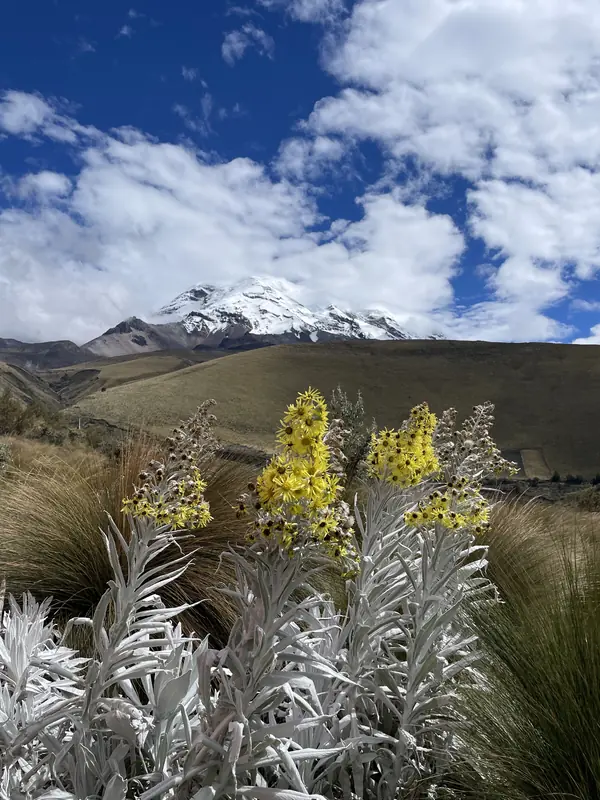 침보라소 화산과 오레하 데 코네호