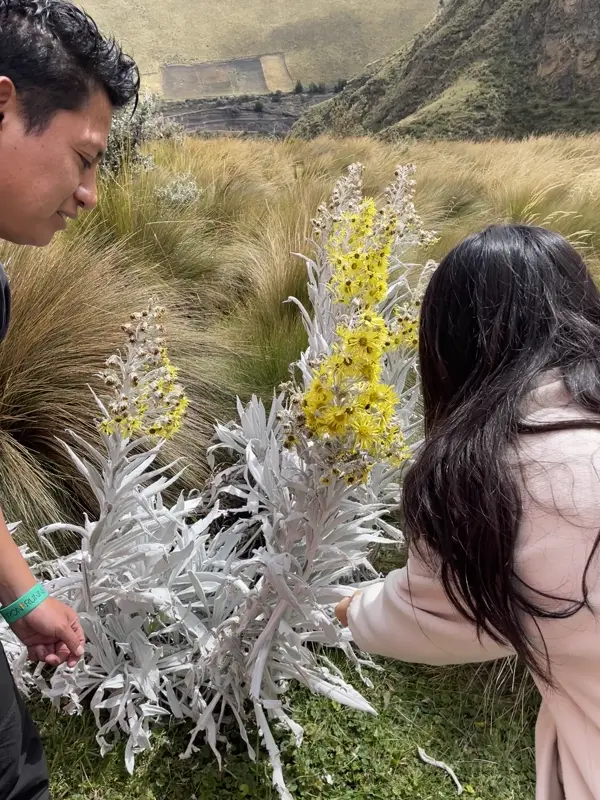 오레하 데 코네호를 만져보는 투어 일행