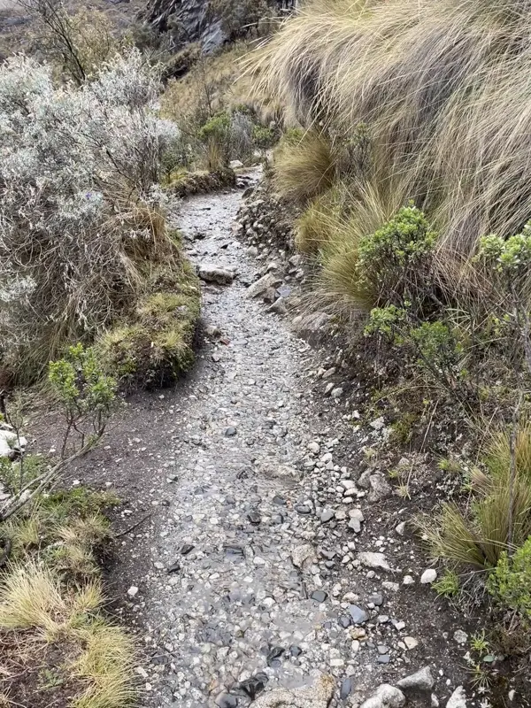 냇물이 흐르고 있는 등산로
