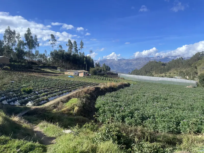 69 호수로 향하는 길에 페루 농장들