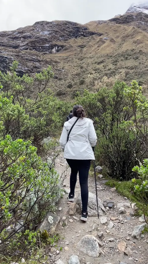 양쪽에 나무들이 보이면서 이전 구간과는 조금 달라 보이는 구간