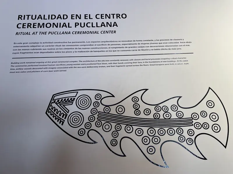 리마 문화 시기 상어 문양